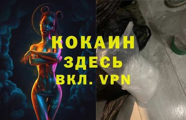 твердый Аркадак