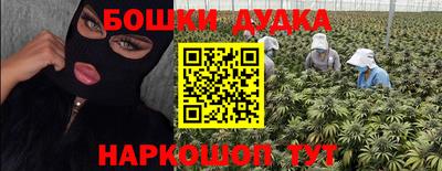 крисы Малгобек