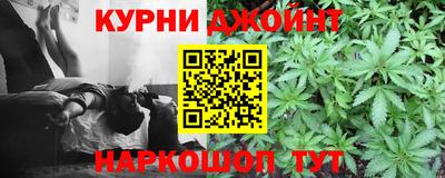 крисы Малгобек