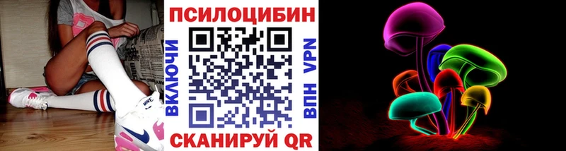 Псилоцибиновые грибы Psilocybine cubensis  цены   Санкт-Петербург 