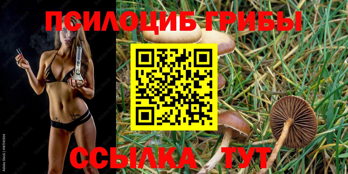 МДМА Санкт-Петербург