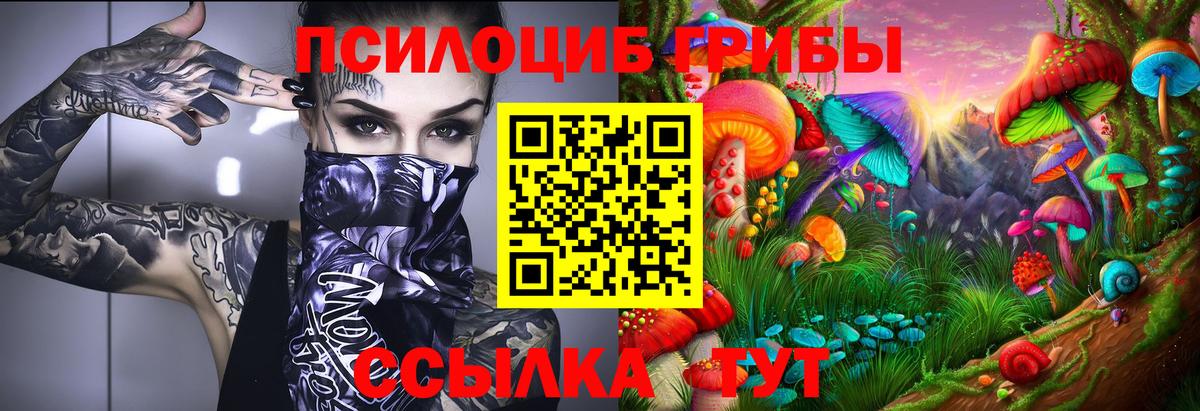 Галлюциногенные грибы мицелий Санкт-Петербург